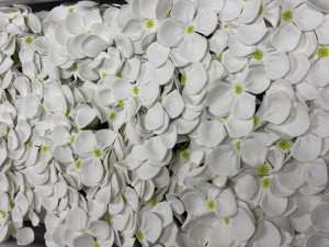 HORTENSJA MYDLANA 25 szt. 