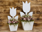 TULIPAN 90 CM - ODBIÓR WŁASNY/ DOSTAWA HURTOWNIE/ WYSYŁKA PALETA